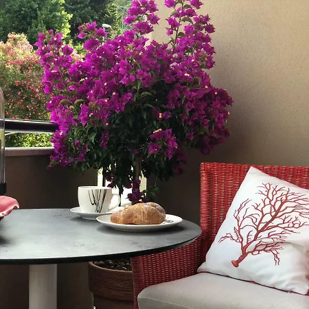 Fantastic Luxury In *